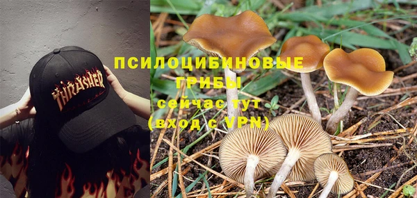 кокаин перу Алексин