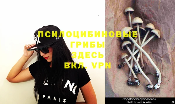 прущая мука Алексеевка