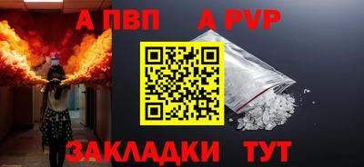 бошки Кингисепп