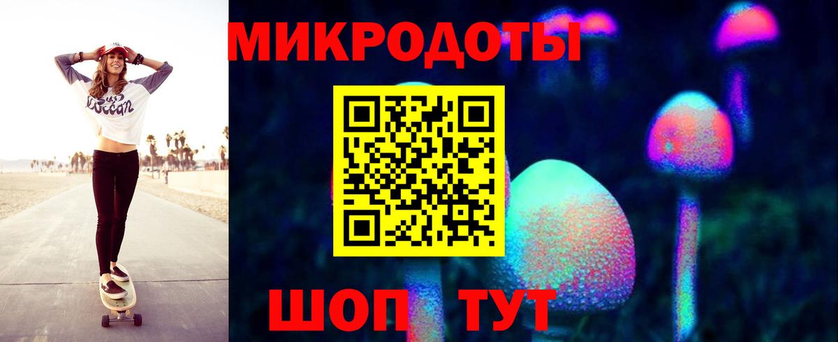 Псилоцибиновые грибы Psilocybe Краснокамск
